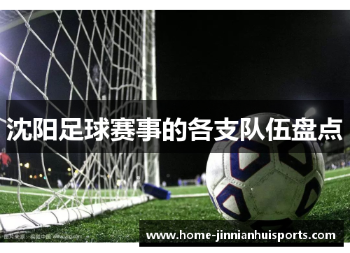 沈阳足球赛事的各支队伍盘点