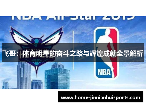 飞哥：体育明星的奋斗之路与辉煌成就全景解析